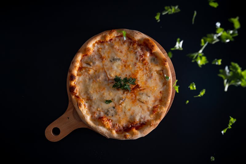 Classic dion's pizza with mozzarella and house tomato sauce